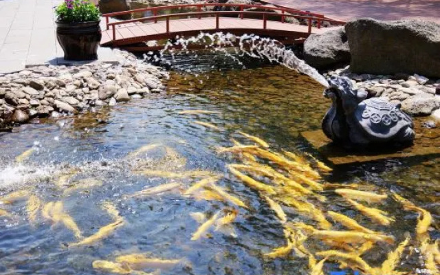 Lingxiquan Hotel – Outside – Baishan