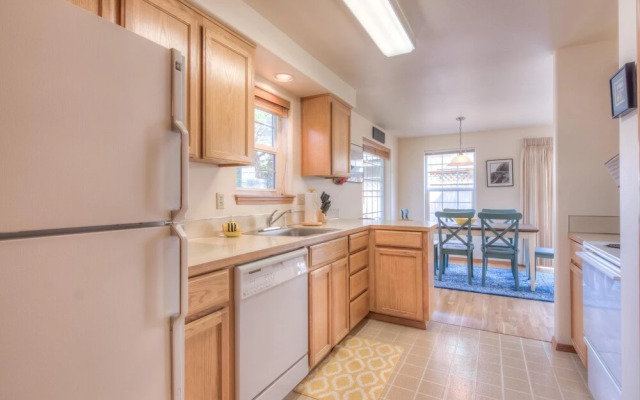 Avas Sunny Delight (MCA 682)