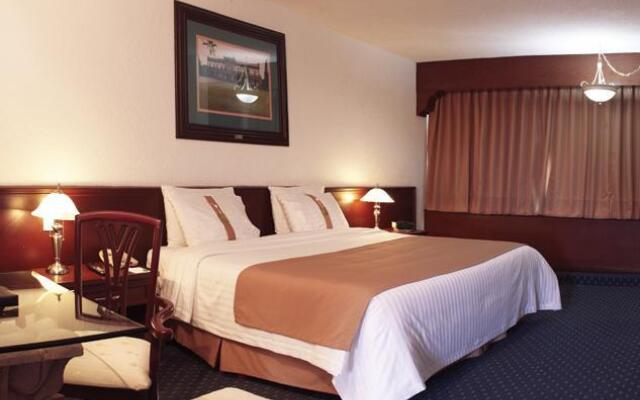 Holiday Inn Slp Quijote