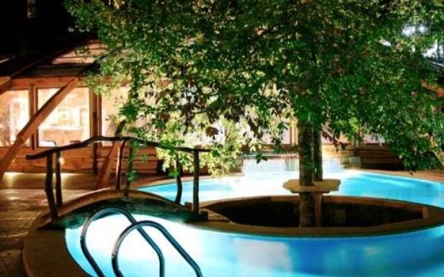 Huilo Huilo Nothofagus Hotel & Spa