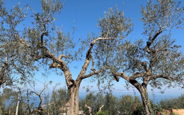 A Sorrento