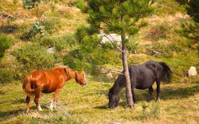 Hotel de Naturaleza Pesquería del Tambre