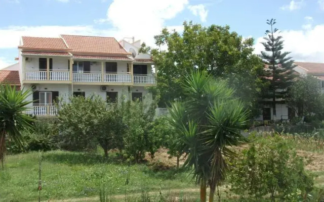 Alexandros Walnuttree Arillas Corfu