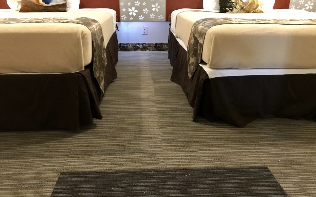 Lake View Suites