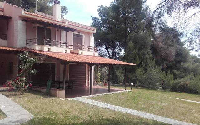 Sithonia Alekos Luxury Experience
