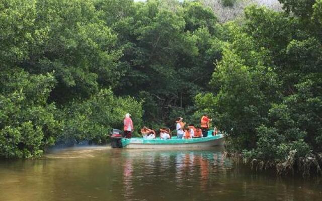 Mangrove King Lodge