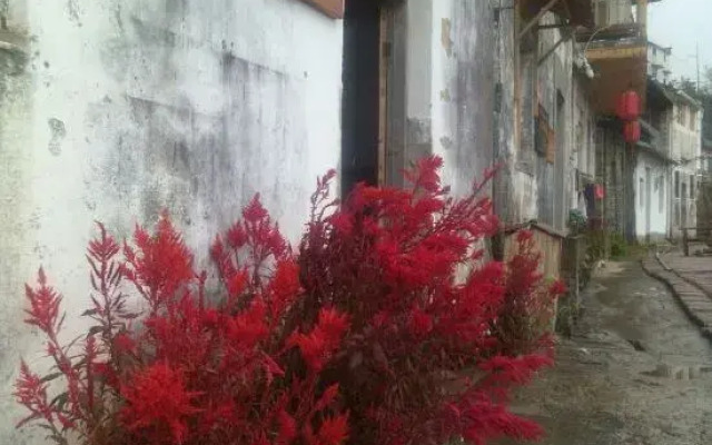 Xiuning wood pear hong home stay in the cloud