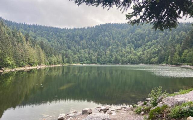 Le Chellois appartement La Bresse