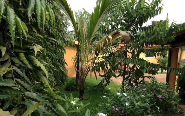 Jardin Tropical