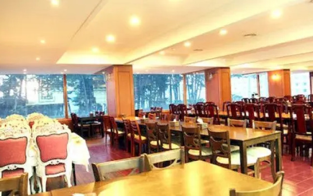 New Island Tourist Hotel