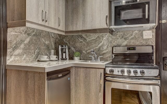 Montreal Downtown Ritz Area - Suite Studio 101