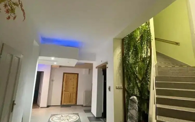 Cozy Studio in Zizkov, Prague