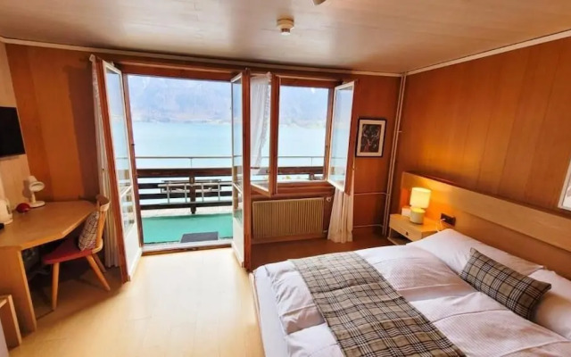 The Hotel Alpina