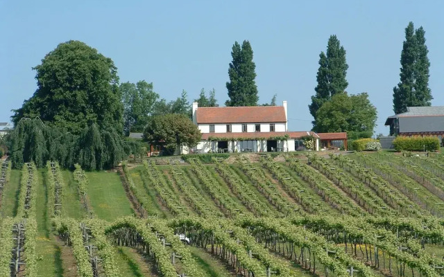 Three Choirs Vineyards