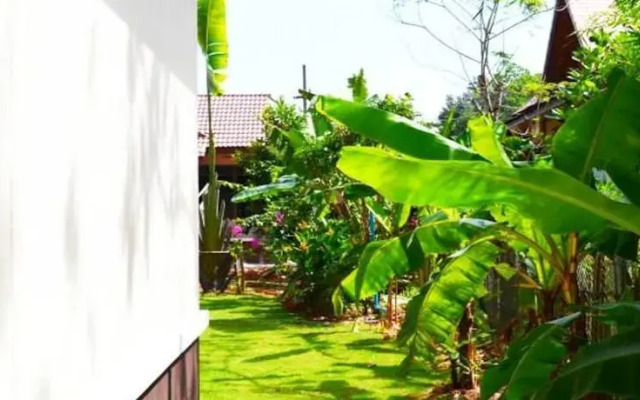 Bird of Paradise Villa