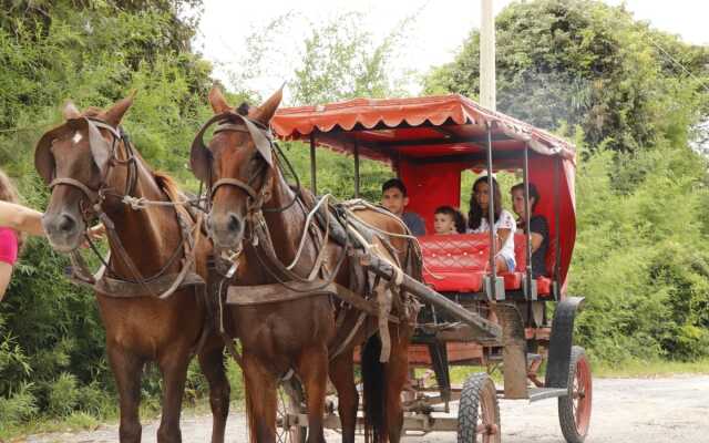 Parque do Avestruz - Hotel Fazenda