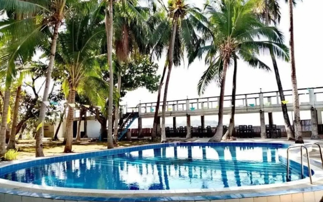 The Pelicans Castaway