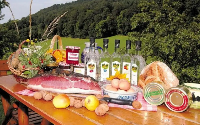 Holiday Apartment Ferienhof Benz