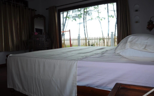 Alleppey Beach Garden