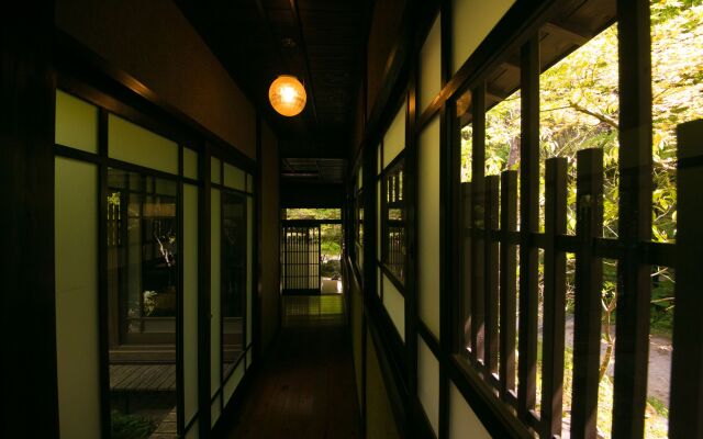 Nihon No Ashitaba
