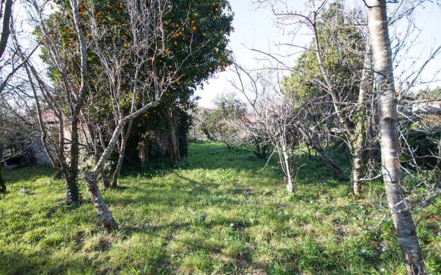 104226 -  House in Carnota