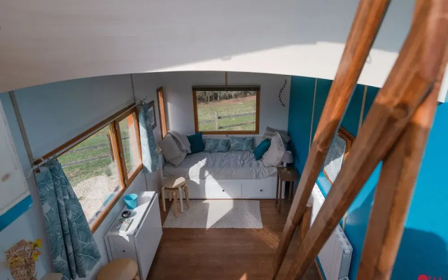 La Tete dans les Étoiles