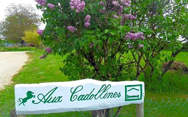 Aux Cadollines