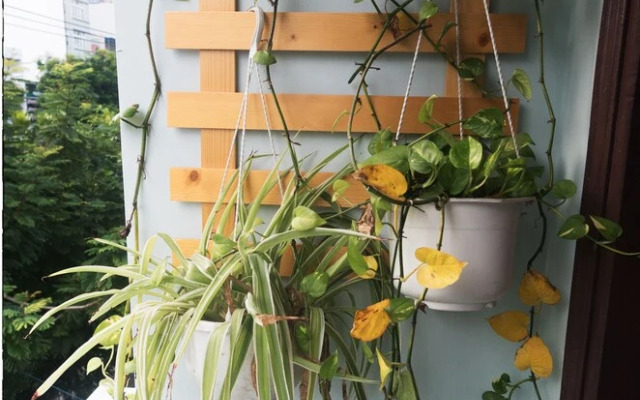 OYO 1168 Elly's Home 2