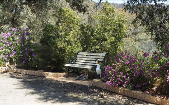 Wild Cherry Bed and Breakfast