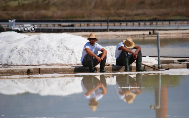 Giotto Holiday Houses