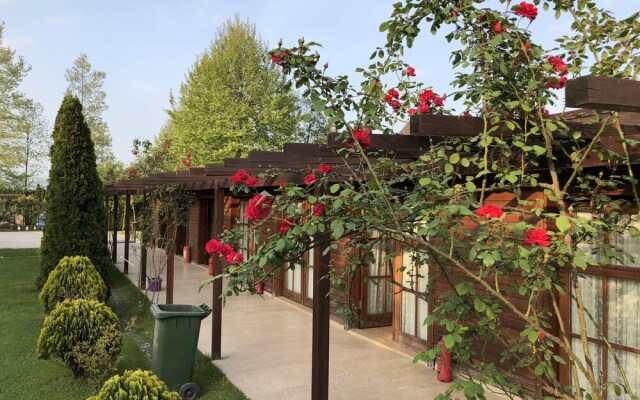 Ogun Bungalow Otel