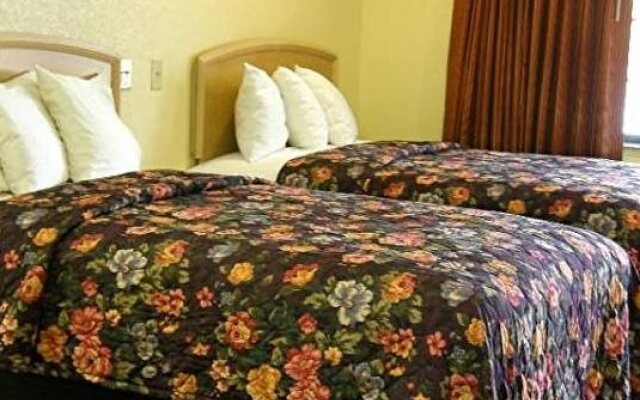 Matador Motel