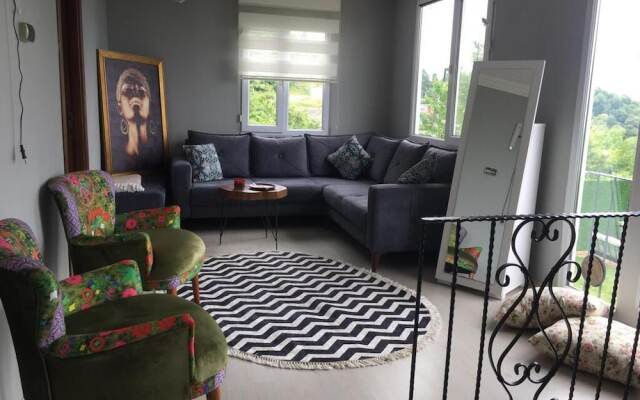 Sapanca mavi yeşil köy evi