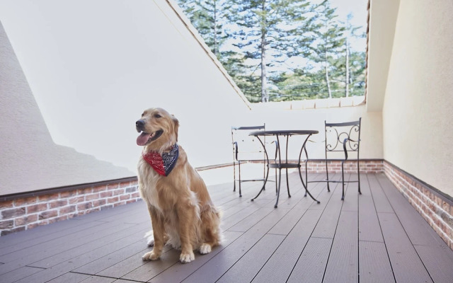 Le Chien Kyuu Karuizawa