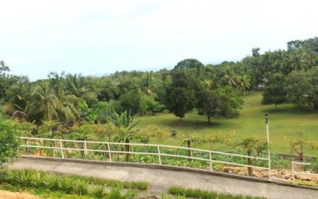 Vidas Mountain Stay-Bohol