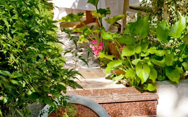 VP Jardín de Tres Cantos