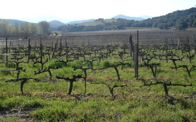 Le Saint André Chambres dHôtes