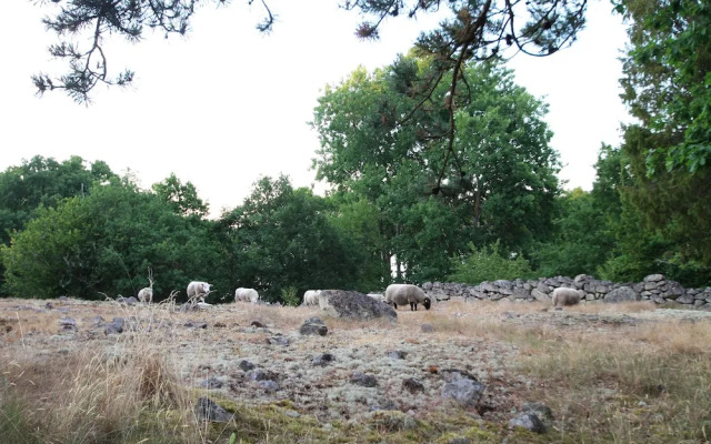 STF Tjärö Hotell & Vandrarhem