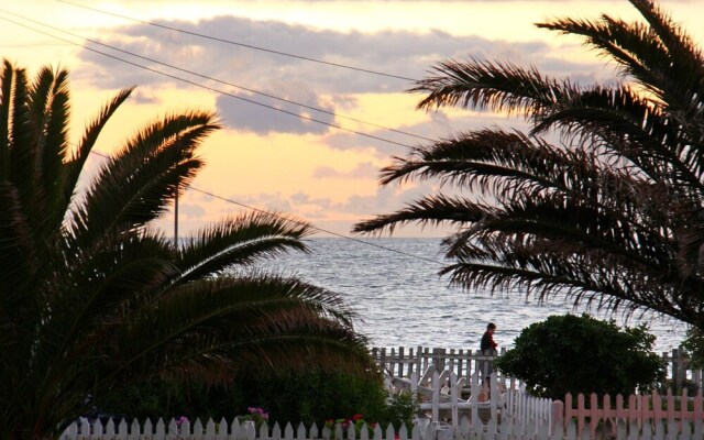 Afribode Acc Adenium Beachfront Apartment