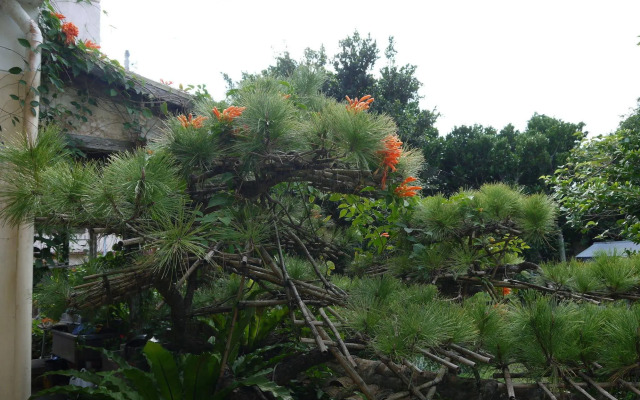 Joyful Chingushi <Tokashikijima>