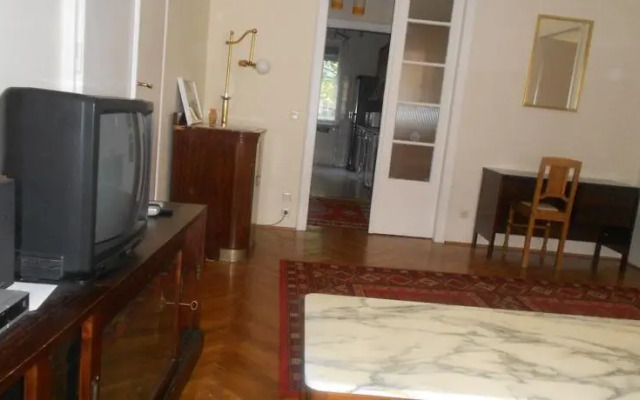 Big and Nice Flat in Budapest