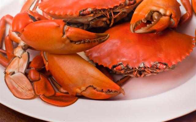 OYO 91862 Hotel Hayani