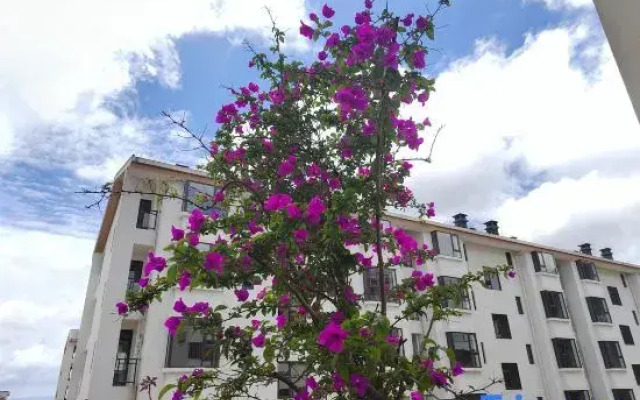 Maili Feng Holiday Homestay