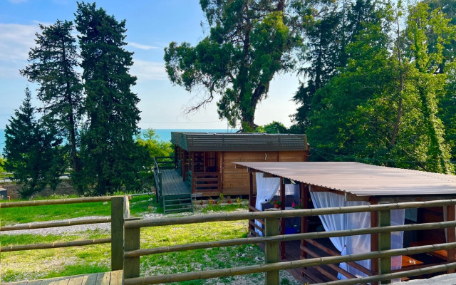 Land of soul (Новый Афон)