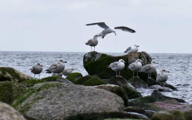 Ostseeblick Berolina