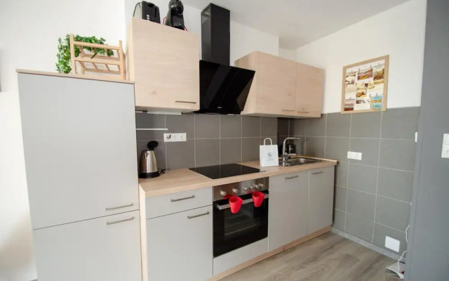 Apartment Dreamski in Zell am See