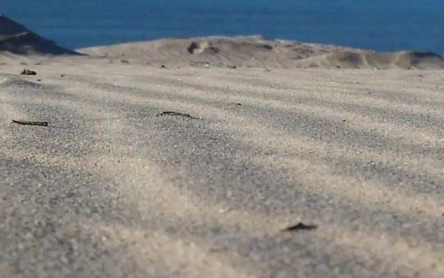 Joussac Côté Plage - Protocole sanitaire strict