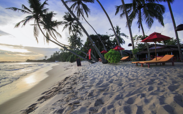 Mahi Mahi Hostel