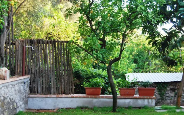 Sorrento Studios Lemons Hill