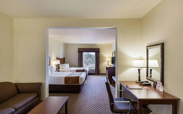 Comfort Suites San Antonio North - Stone Oak